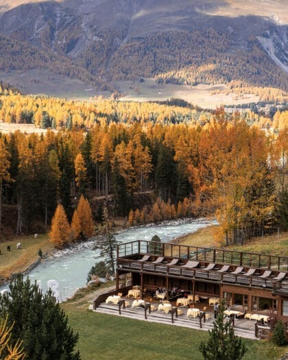 A view of the Engadin's golden larches from Grand Hotel Kronenhof, Switzerland