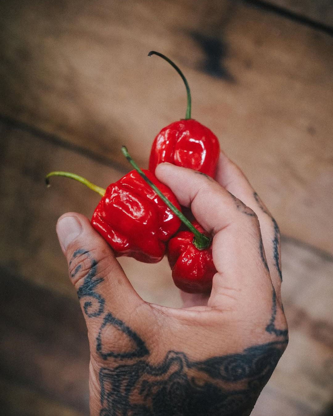 Kevin WY Lee holds chilli peppers in his tattooed hand