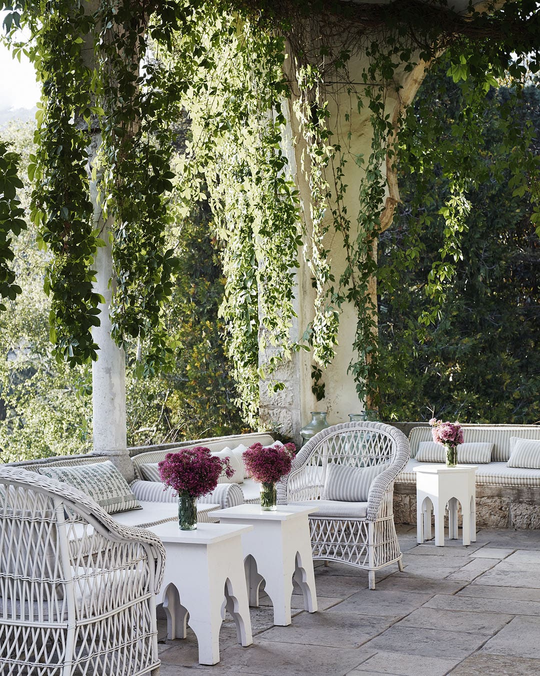 A tree canopy at Beit Trad. Photography by Simon Watson