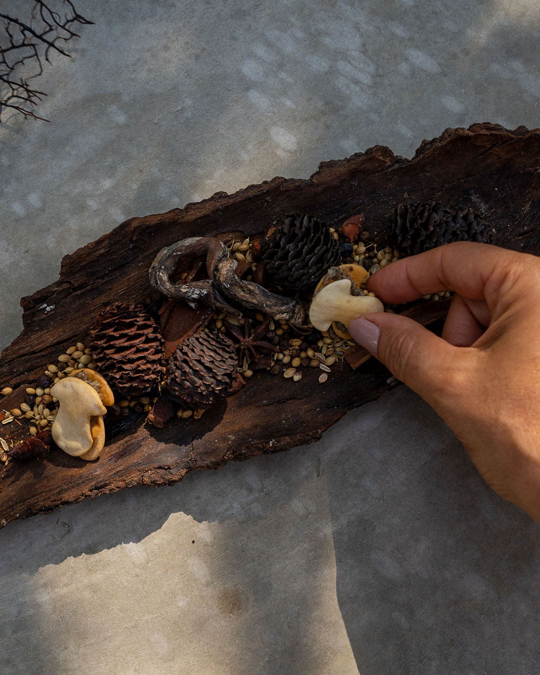 Fine dining prepared at Brût by Youssef Akiki