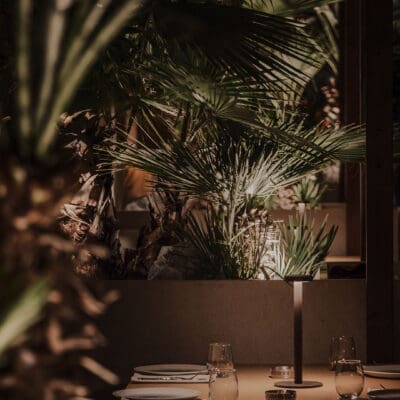 Palm-fringed interiors at Le Canoë at Holiday Beach Resort