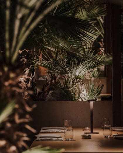 Palm-fringed interiors at Le Canoë at Holiday Beach Resort