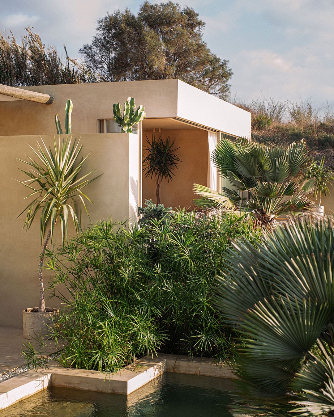 (2022) - CAPO - BATROUN 2