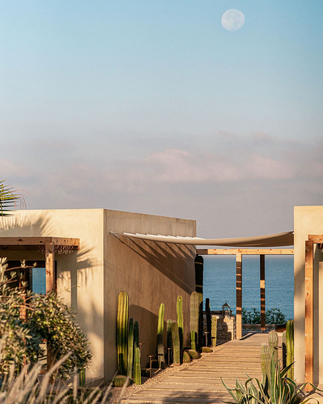 (2022) - CAPO - BATROUN 2