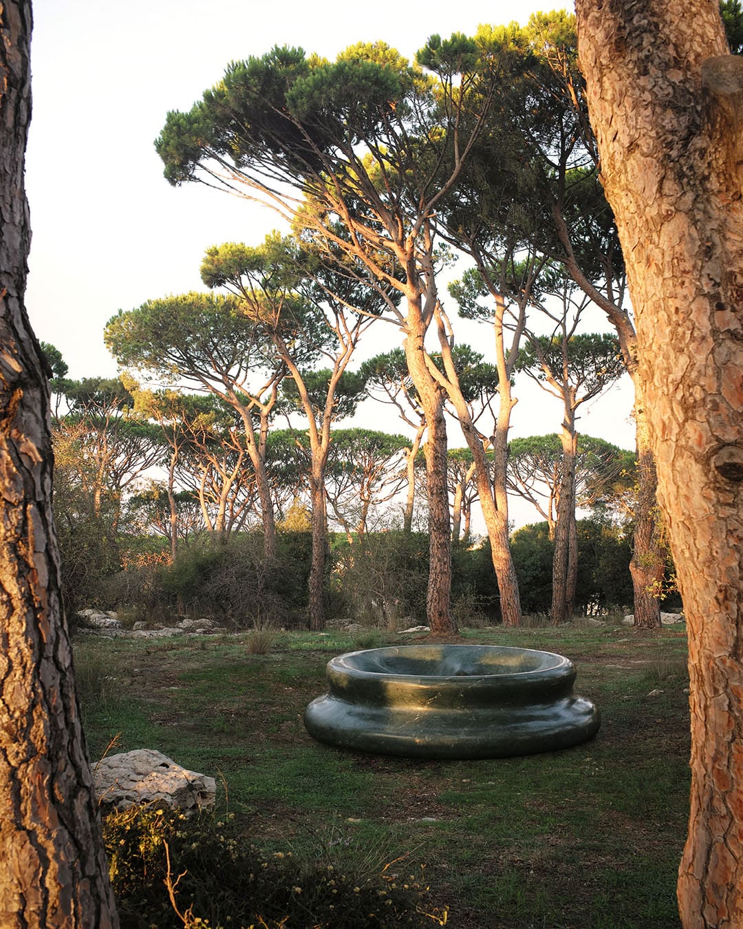 (2025) - ECHOED TERMES 1