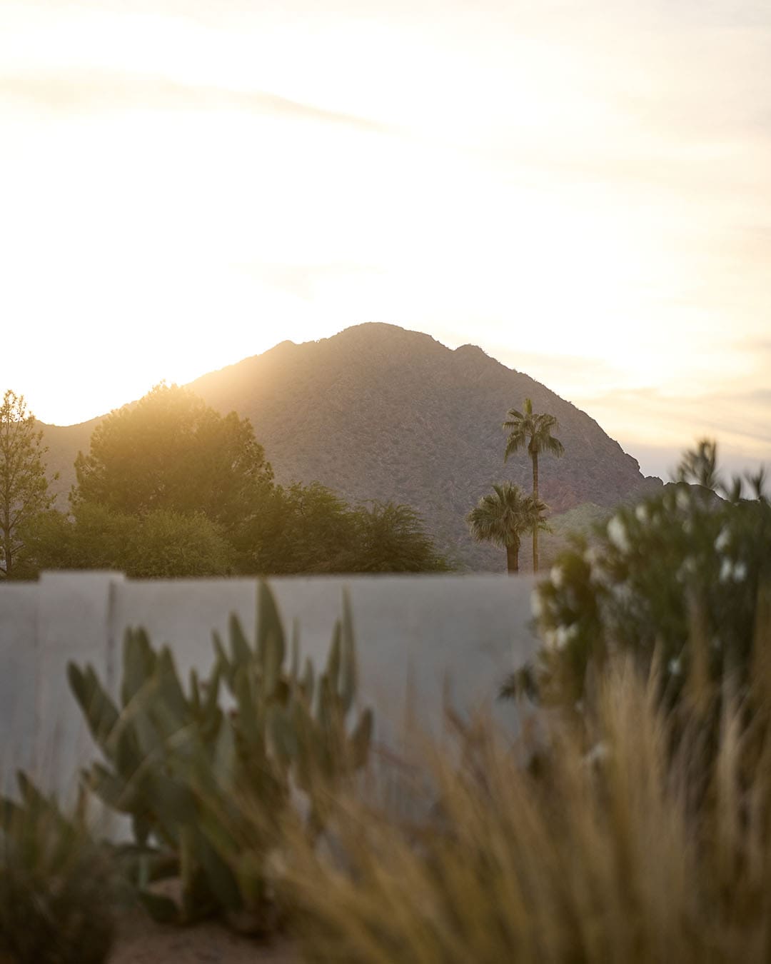 Andaz Scottsdale, with Camelback Mountain in view. Photography Matt Martian