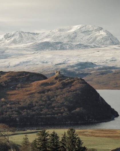 Calming views of Wildland. Photography by Nick Law
