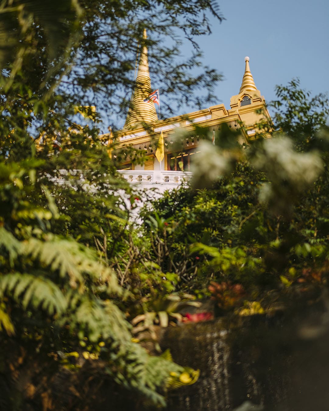 A temple pokes its head out of greenery in Bangkok