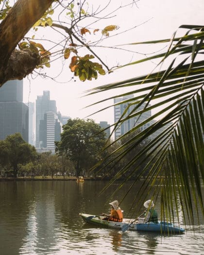 Two people kayaking on the lake at Lumphini Park in Bangkok. Framed by trees and greenery