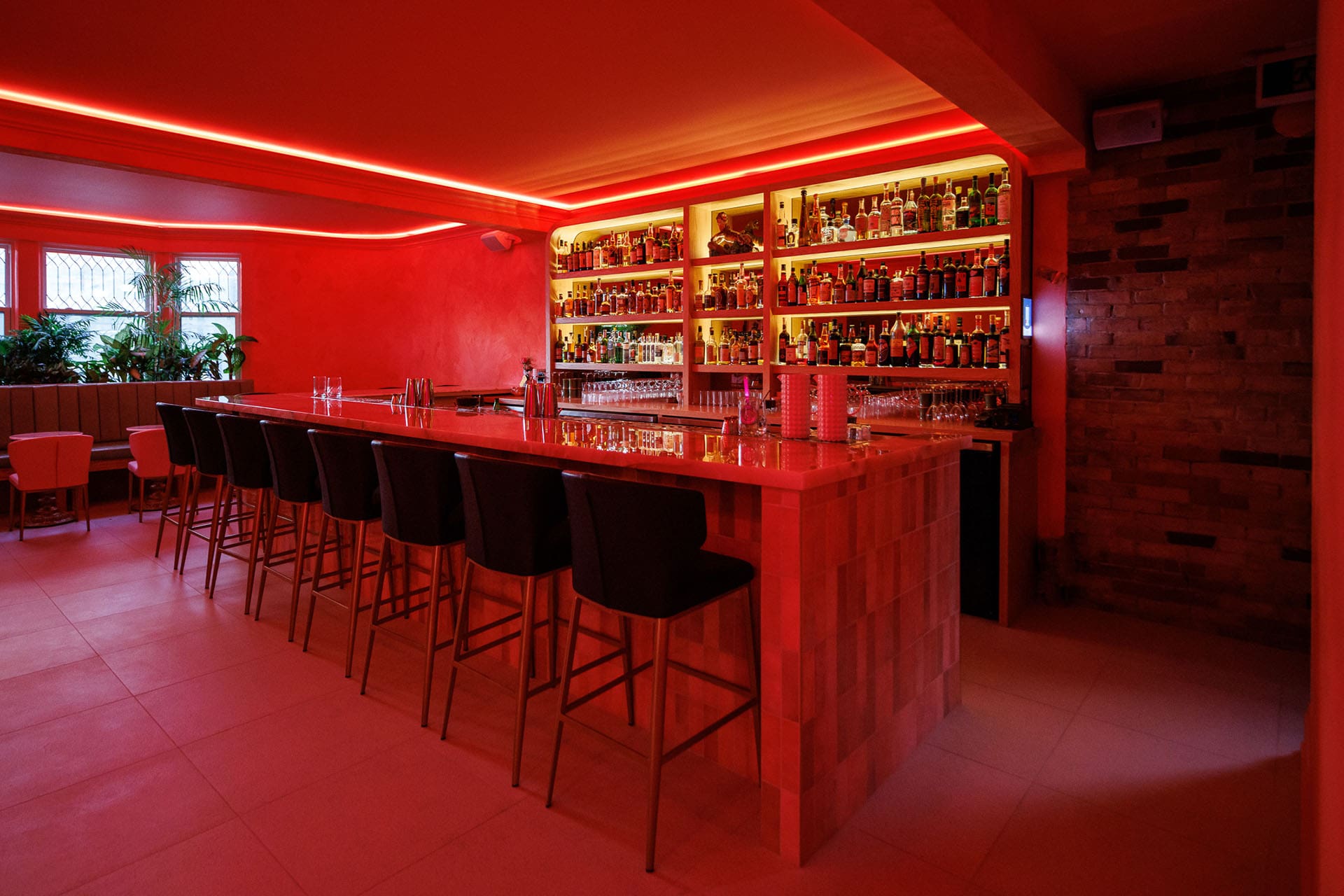 The famous bar at Le Tigre. Neon lit shelves showcase their drink offerings
