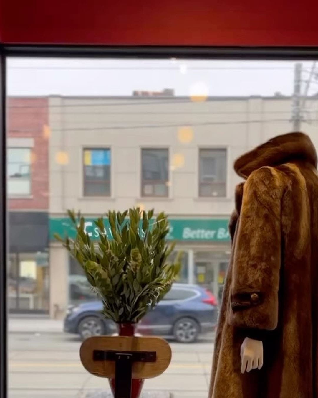 Vintage clothing and a plant in the window at Penny Arcade